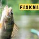 The Joy and Art of Fiskning: An Ancient Tradition in Modern Times