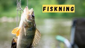 The Joy and Art of Fiskning: An Ancient Tradition in Modern Times