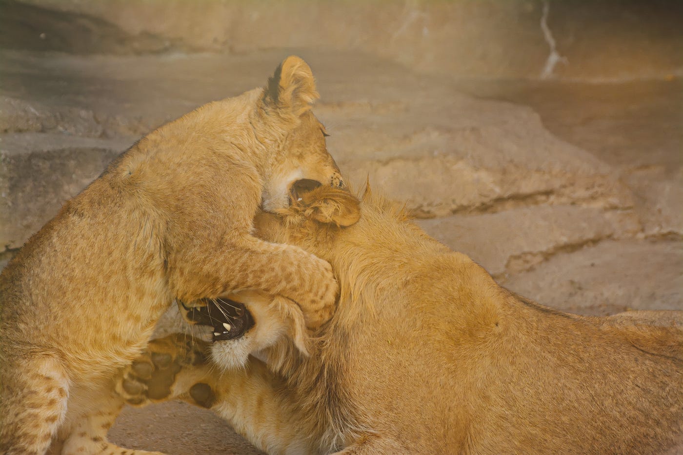 The Art of Zoo: Exploring the Boundless Creativity of Animal-Inspired Art