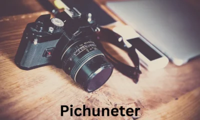 Unveiling the Pichuneter: Exploring an Intriguing Cultural Phenomenon