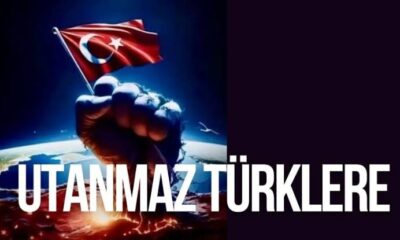 Understanding the Phrase "Utanmaz Türklere"