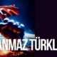 Understanding the Phrase "Utanmaz Türklere"