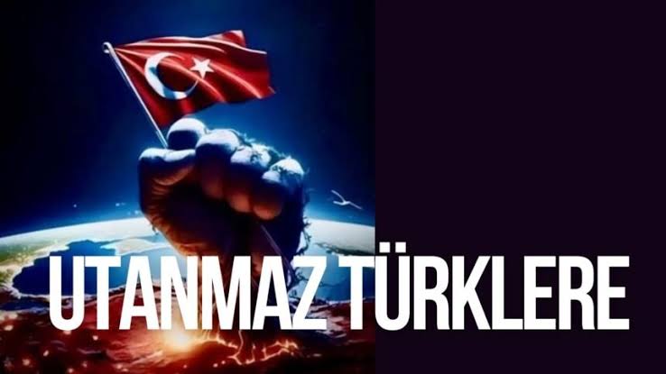 Understanding the Phrase "Utanmaz Türklere"