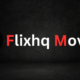 HQFlix: Redefining Streaming Entertainment