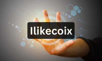 Connecting Diverse Minds: The Power of Ilikecoix