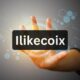 Connecting Diverse Minds: The Power of Ilikecoix