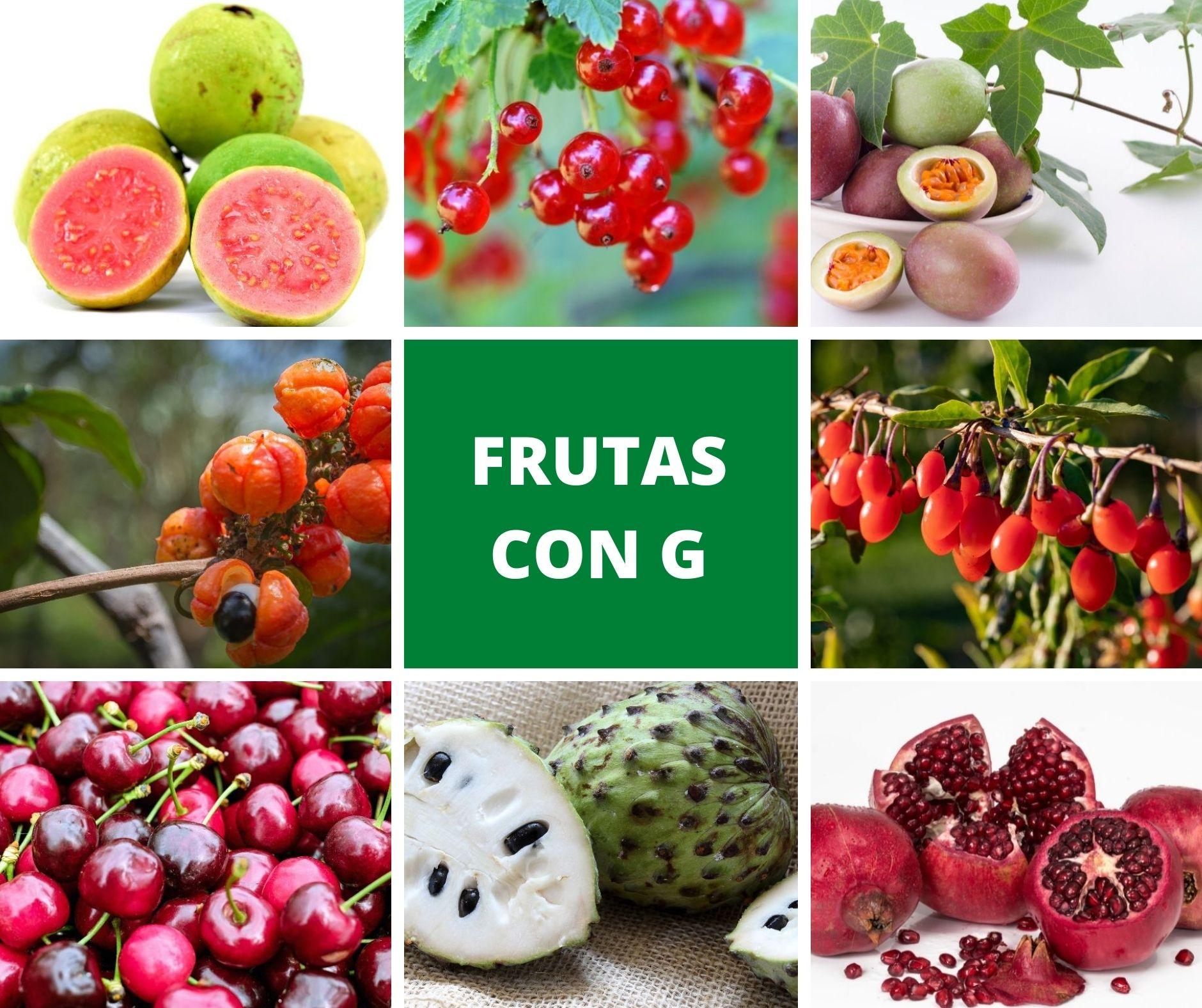 Exploring the World of Fruta con O: A Culinary Journey