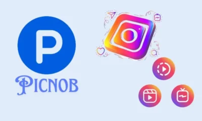 What is Picnob Instagram Viewer and Downloader?