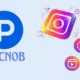 What is Picnob Instagram Viewer and Downloader?