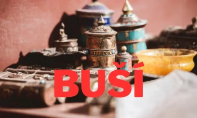 Buší: Unveiling the Rich Tapestry of a Unique Cultural Phenomenon