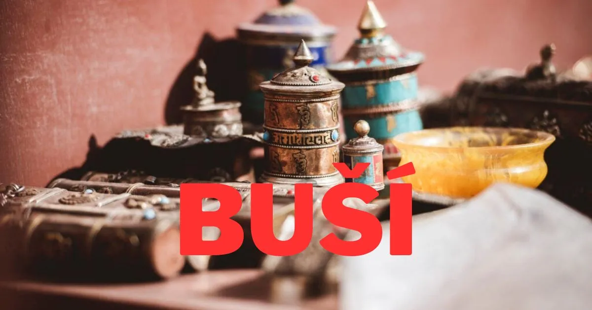 Buší: Unveiling the Rich Tapestry of a Unique Cultural Phenomenon