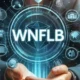 Everything You Need to Know About WNFLB